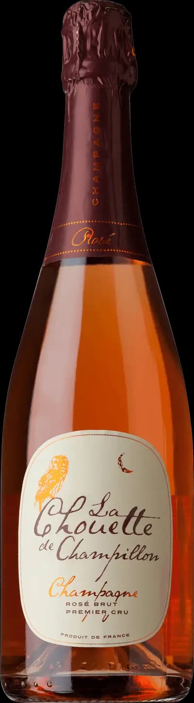 Produktbild för La Chouette de Champillion