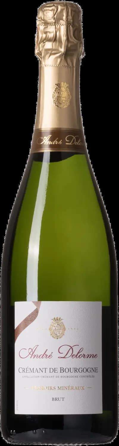 Produktbild för André Delorme