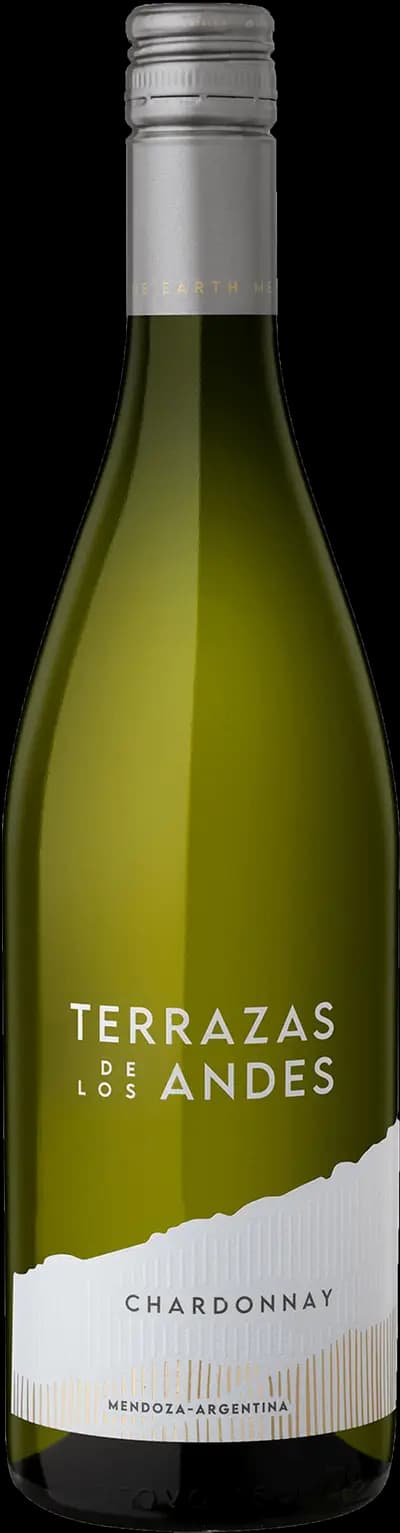Produktbild för Terrazas de los Andes