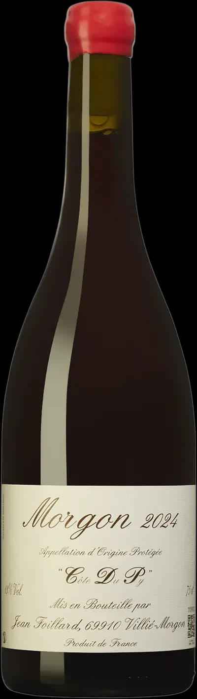 Produktbild för Morgon Côte du Py