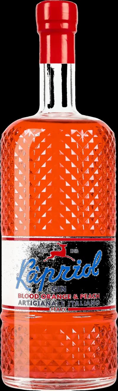 Produktbild för Kapriol Gin