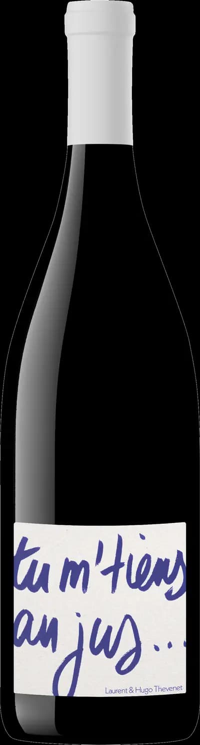 Produktbild för Domaine du Petit Pérout