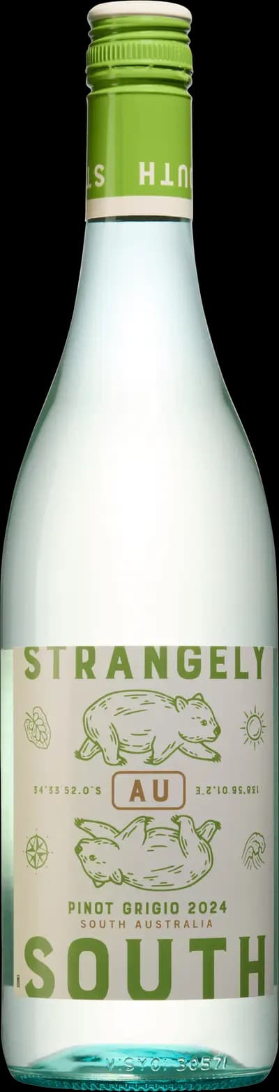 Produktbild för Strangely South