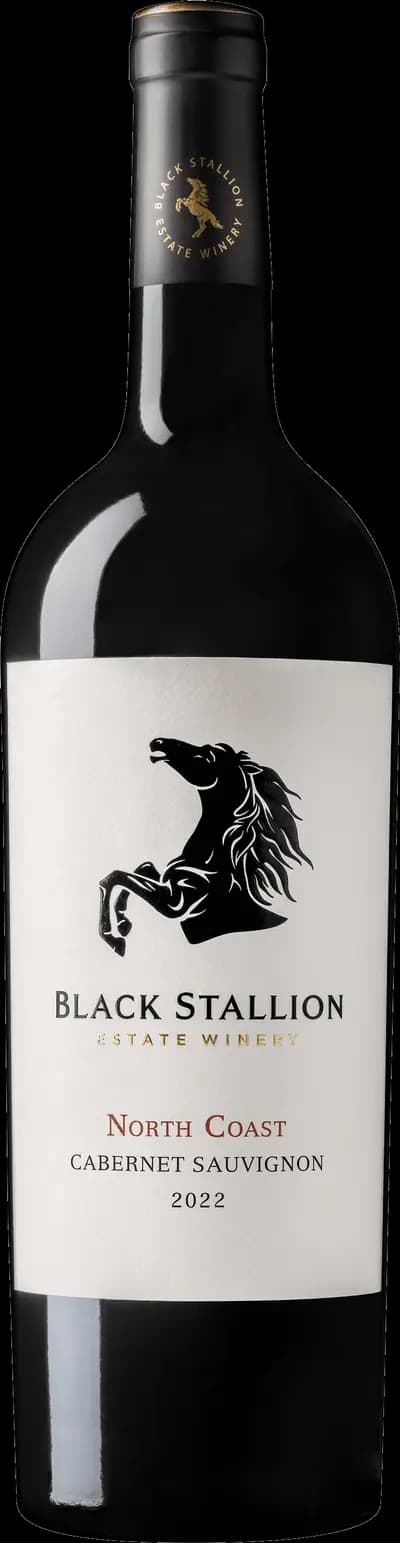 Produktbild för Black Stallion