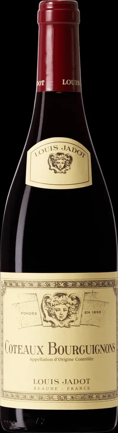 Produktbild för Coteaux Bourguignons Rouge