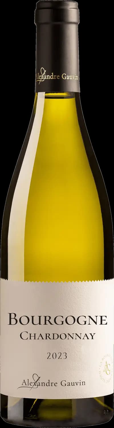Produktbild för Alexandre Gauvin