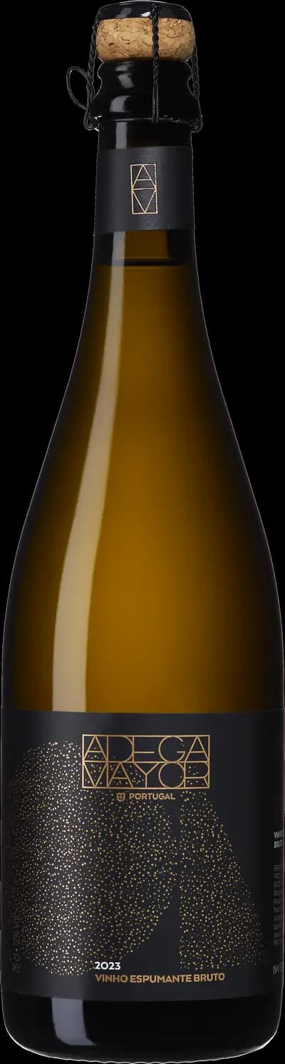 Produktbild för Vinho Espumante