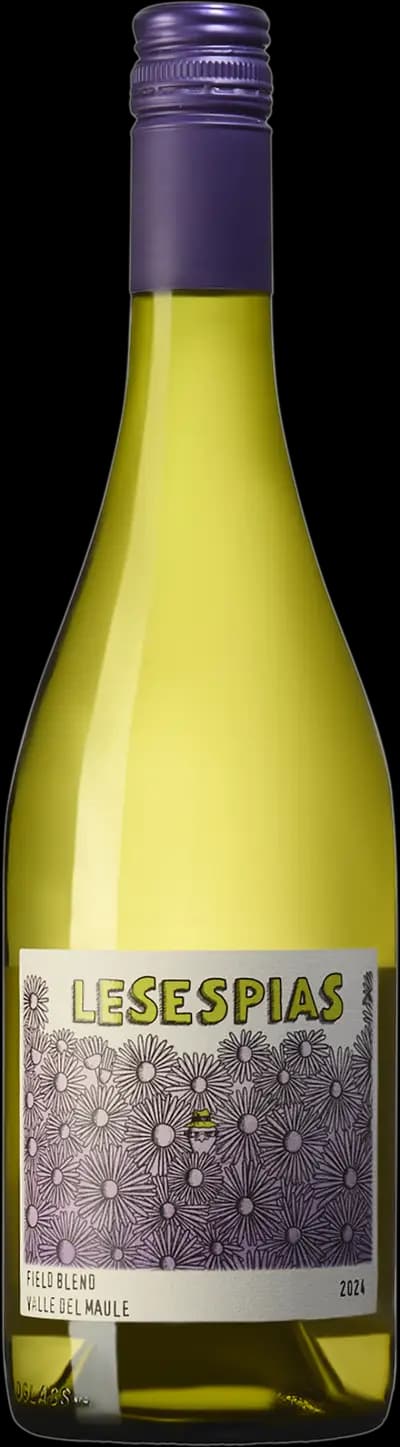 Produktbild för Moretta Wines