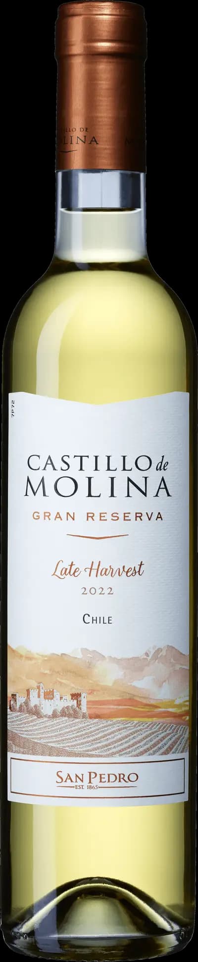 Produktbild för Castillo de Molina