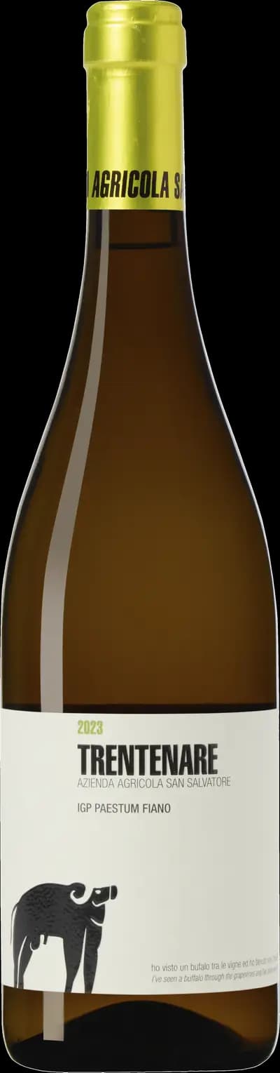 Produktbild för San Salvatore