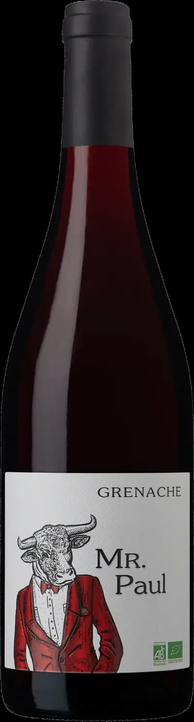 Produktbild för Mr. Paul