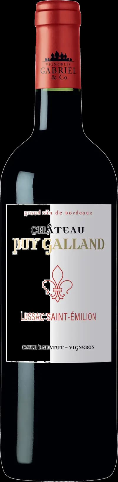 Produktbild för Château Puy Galland