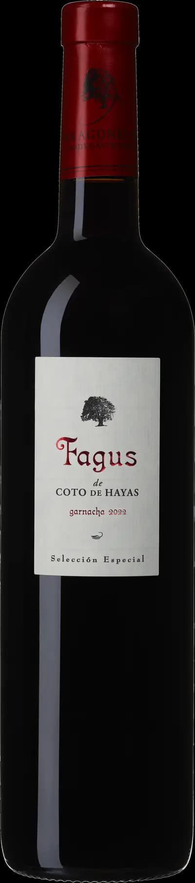 Produktbild för Fagus