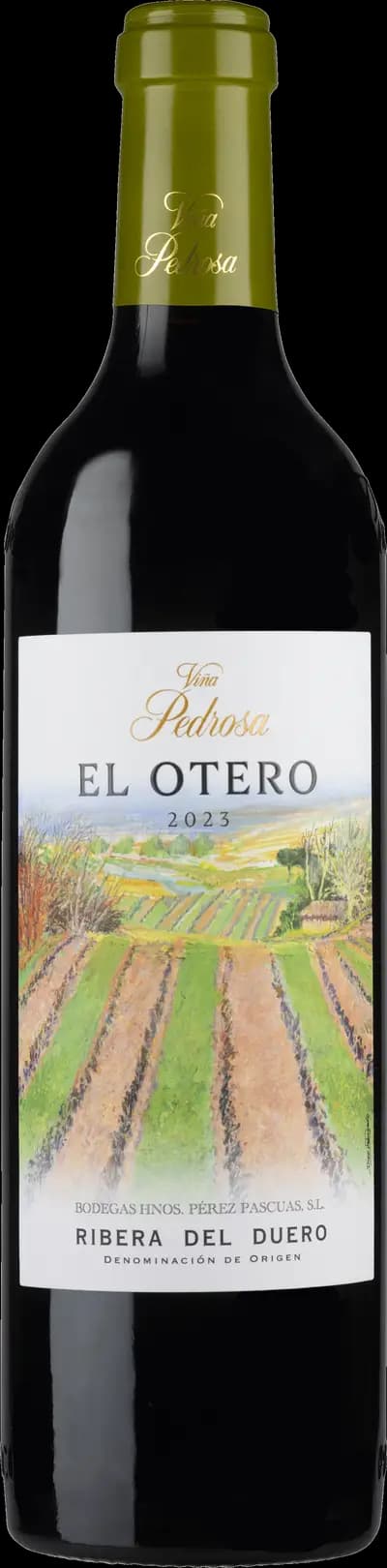 Produktbild för Viña Pedrosa