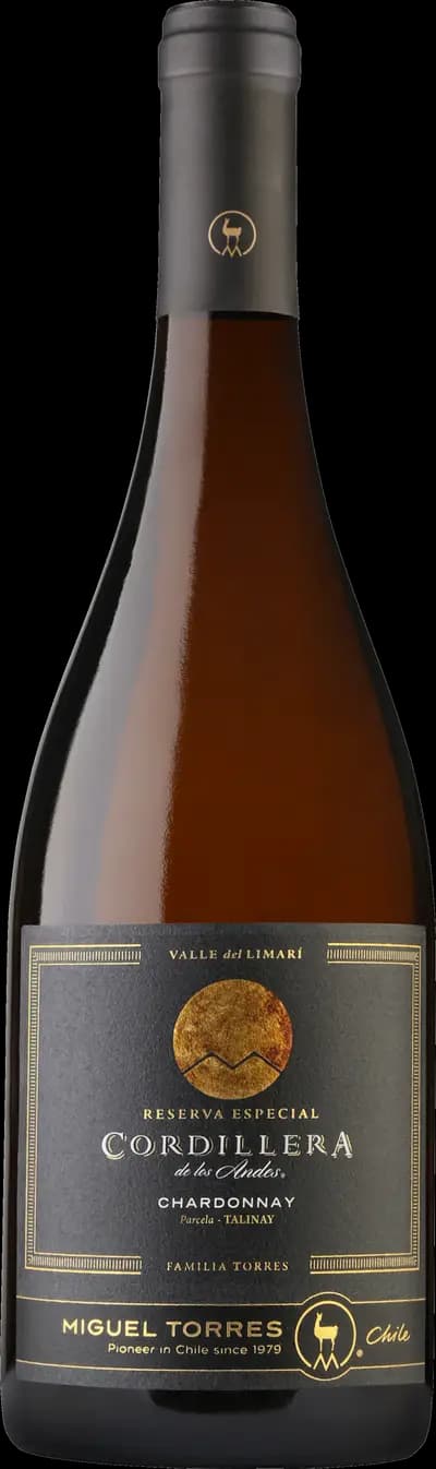 Produktbild för Cordillera