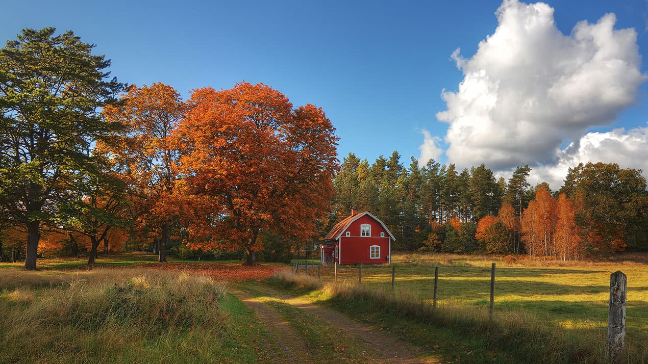 Rött hus i skogen höstfärger i träden