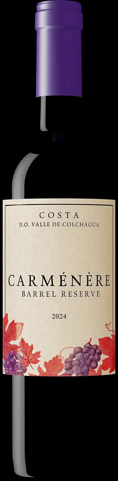 Produktbild för Costa Carmenere